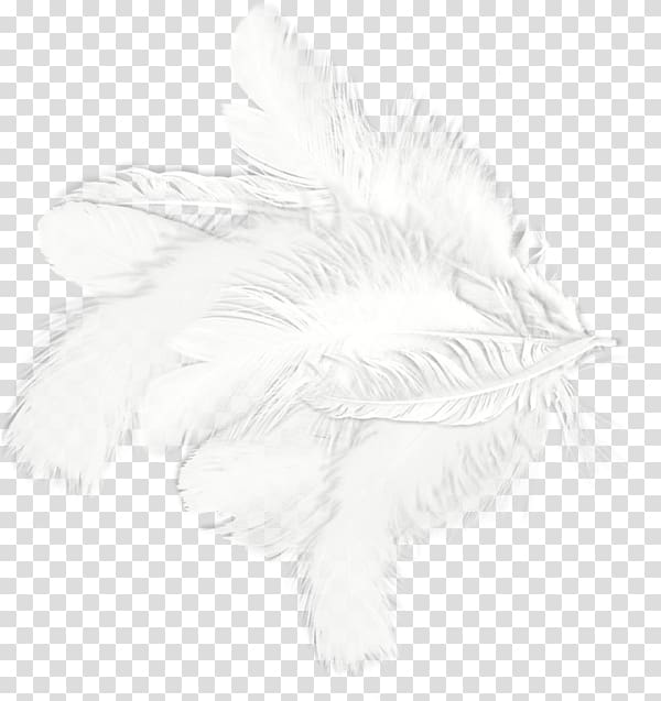 White Feather Drawing Black Pattern, White feathers transparent background PNG clipart