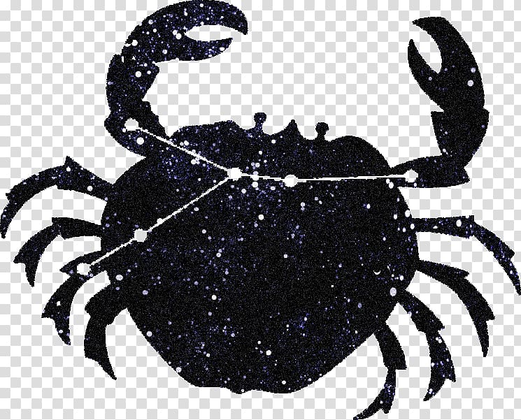 Cancer Dungeness crab Constellation Information, others transparent background PNG clipart