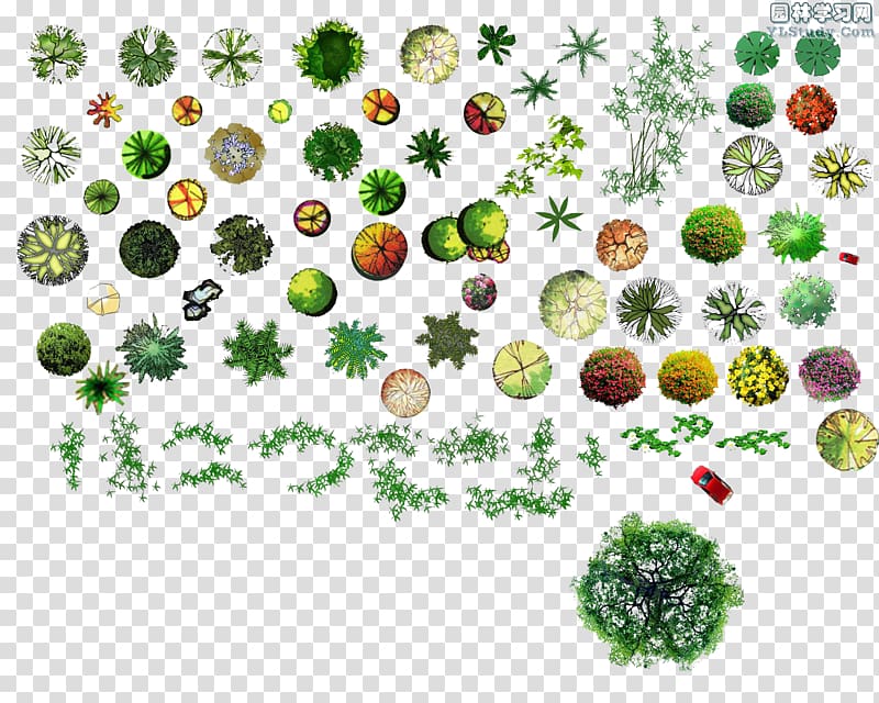 variety of plants and flowers, Plane Plant Planar graph Tree, Plant material plane transparent background PNG clipart