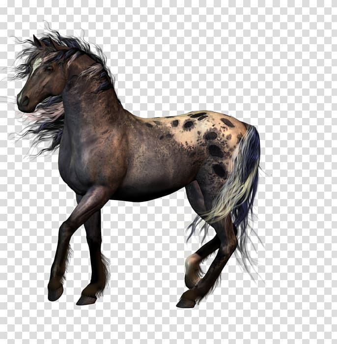 Appaloosa Animal , race horse transparent background PNG clipart