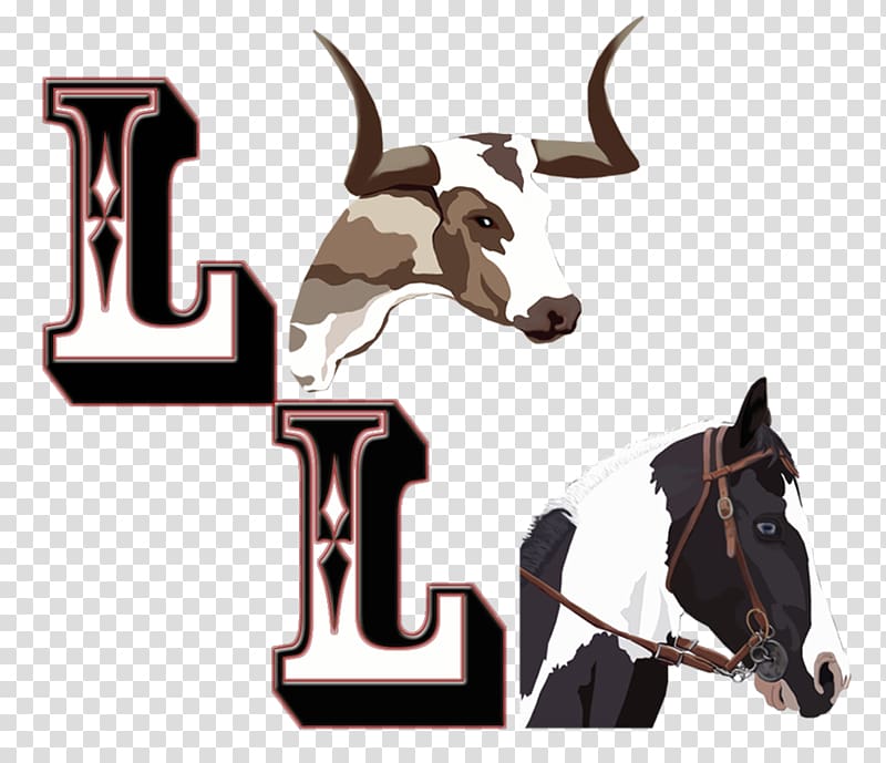 Cattle Bucking bull , horse transparent background PNG clipart