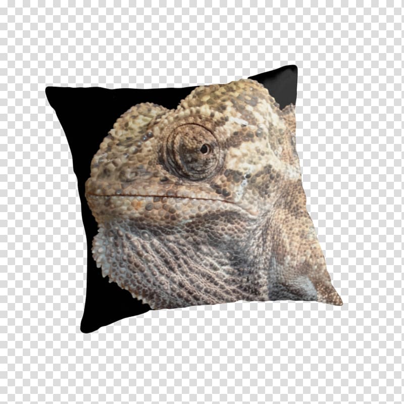 Chameleons Throw Pillows Cushion Cool, zipper isolated transparent background PNG clipart