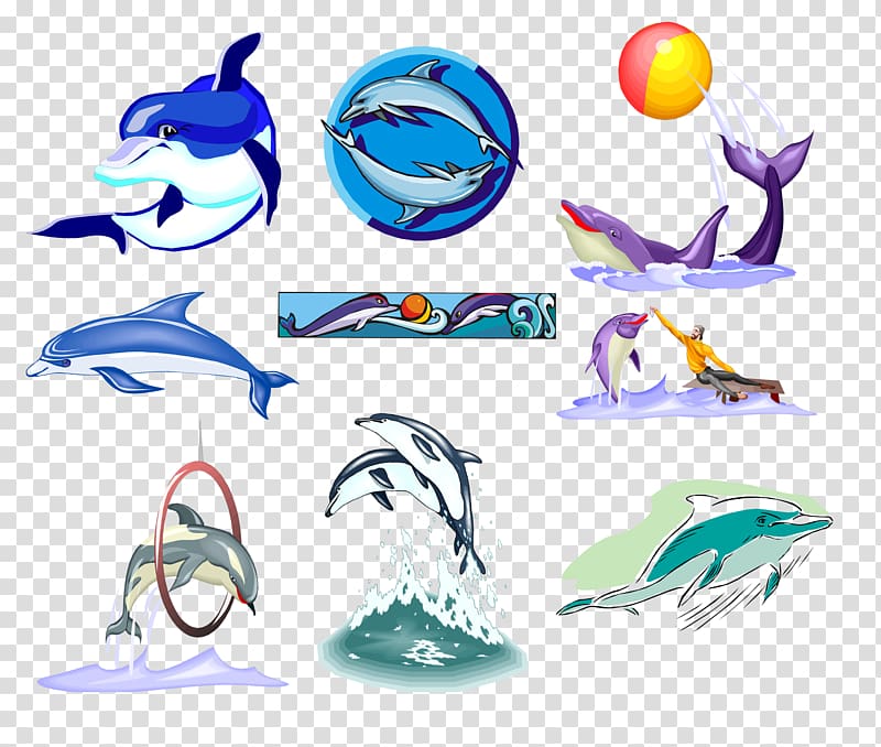 Dolphin , Dolphin species transparent background PNG clipart