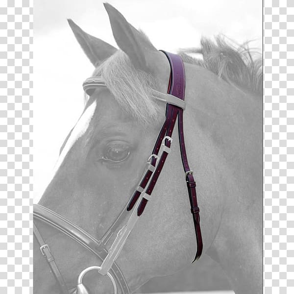 Horse Bridle Rein Noseband Halter, horse transparent background PNG clipart