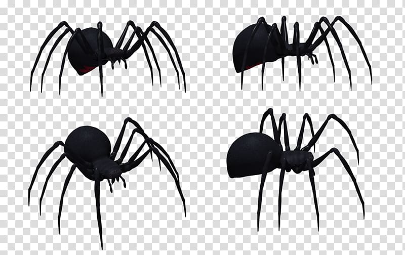 Widow spiders Western black widow Spider web, spider transparent background PNG clipart