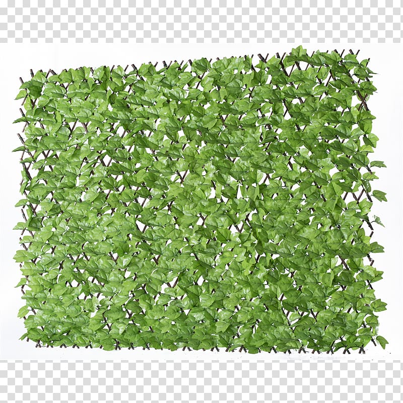 Herb Shrub Groundcover Lawn, trellis transparent background PNG clipart