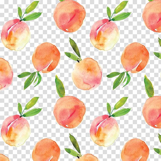 pomegranate fruit illustration, Peach Watercolor painting Drawing, Peaches Shading transparent background PNG clipart