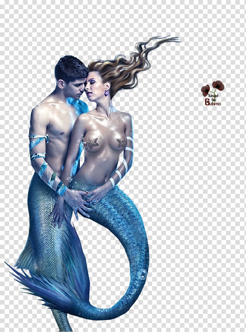 Mermaid Organism February 10 Illustration Sea, Mermaid Theme transparent background PNG clipart