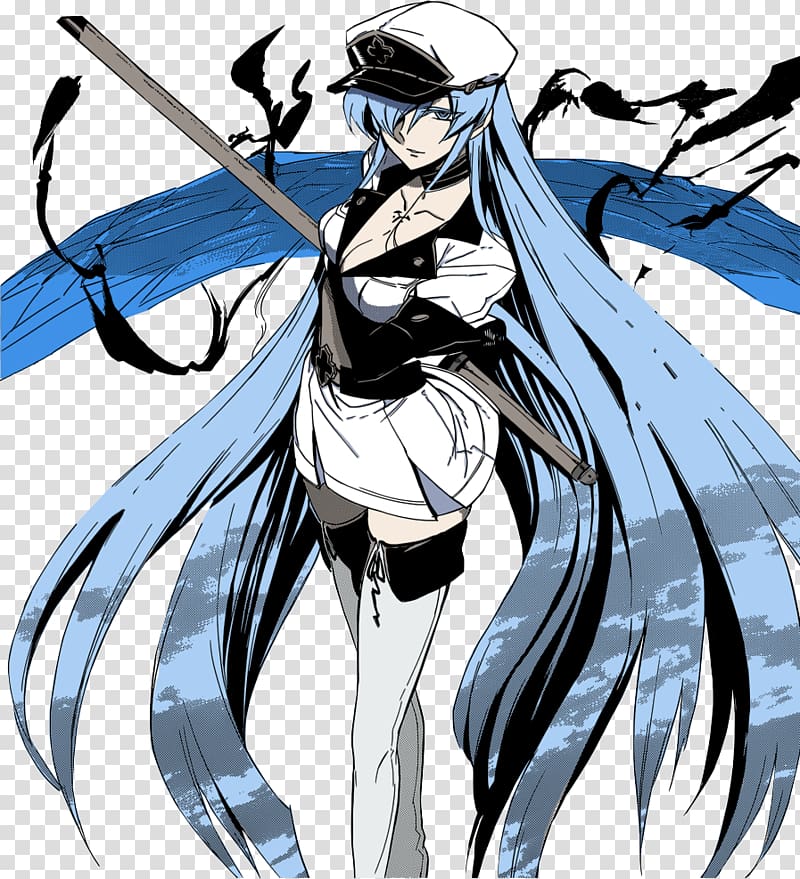 Divine Gate, Akame Ga Kill, Otaku Anime, Manga Comics, - Wiki - Free  Transparent PNG Clipart Images Download