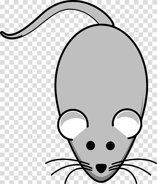 Rat House mouse , rat transparent background PNG clipart