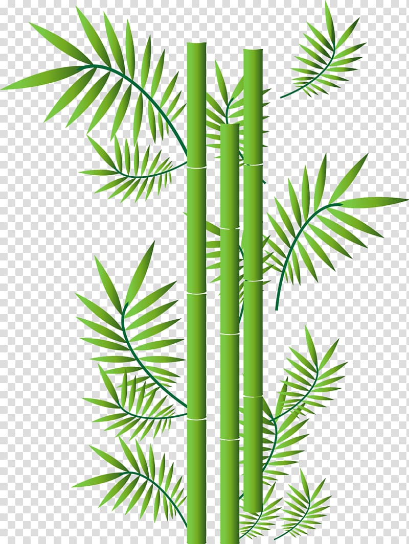 Tropical woody bamboos, bamboo transparent background PNG clipart