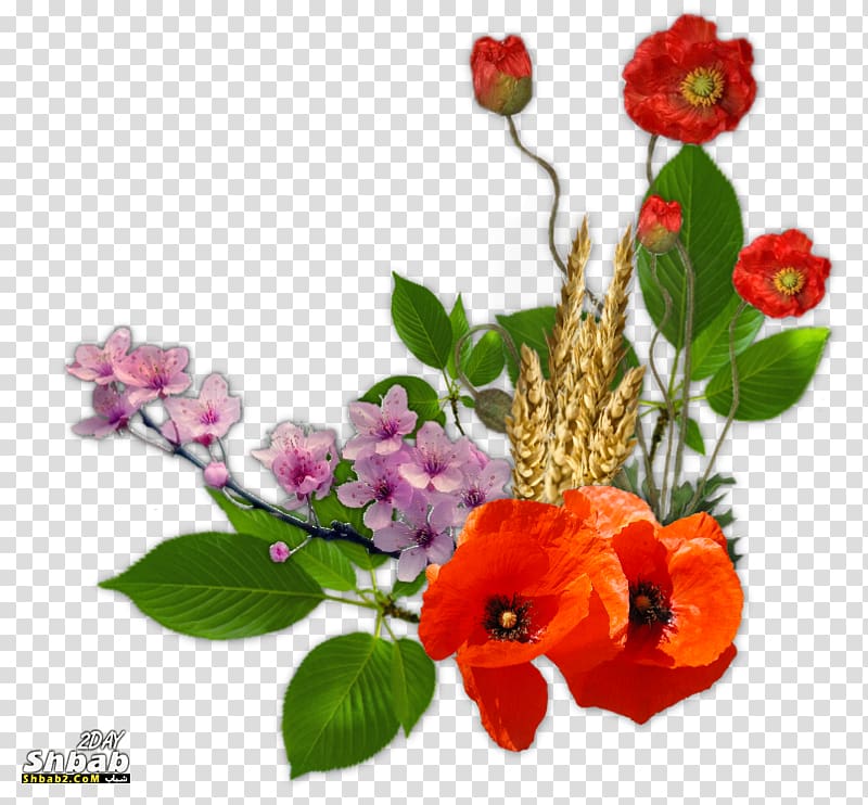 Floral design Cut flowers, compos transparent background PNG clipart