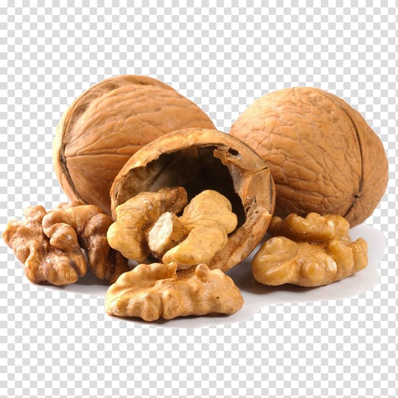 English walnut Almond Cashew, walnut transparent background PNG clipart