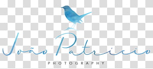 João Patrício Marriage Baptism João Patrício Arquitectura e Urbanismo Lda, visit cart transparent background PNG clipart thumbnail