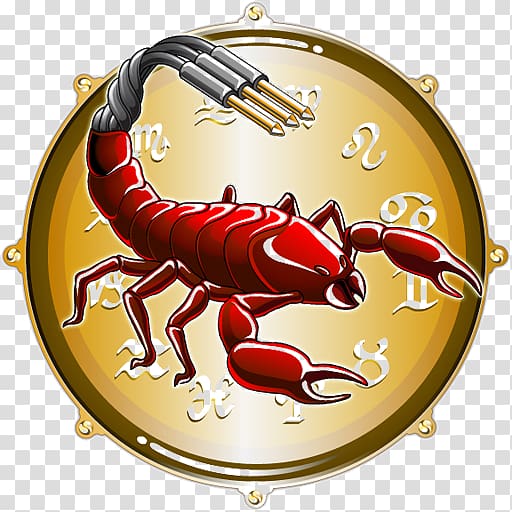 Scorpion Scorpius Zodiac Horoscope, Scorpion transparent background PNG clipart