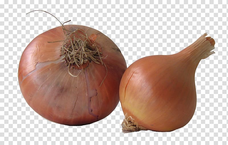 Yellow onion Shallot Health Caramelization Bulb, others transparent background PNG clipart