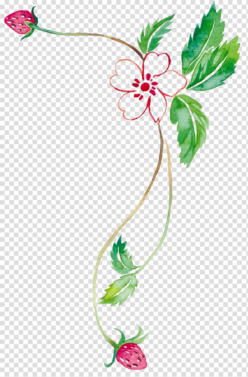 Watercolor painting Tabloid , Strawberry vine transparent background PNG clipart