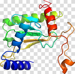 Line Point Organism , line transparent background PNG clipart thumbnail