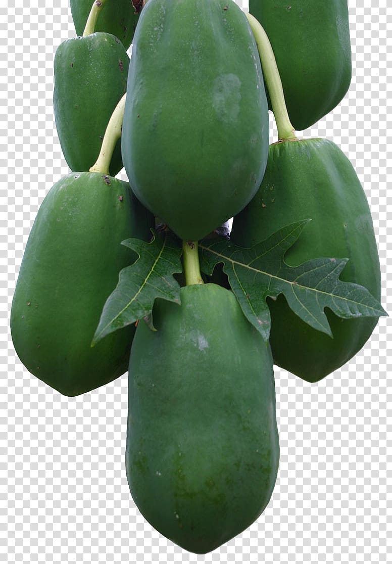 Papaya Fruit Auglis Vegetable, Green Papaya transparent background PNG clipart