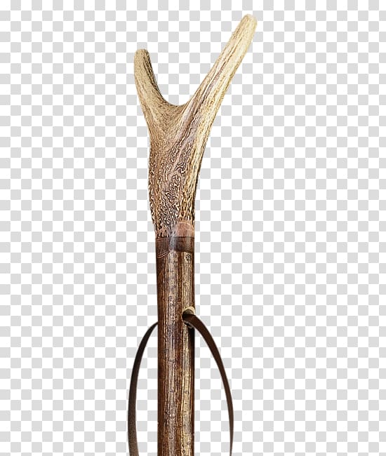 Antler Walking stick Bastone Assistive cane Deer, labrador transparent background PNG clipart