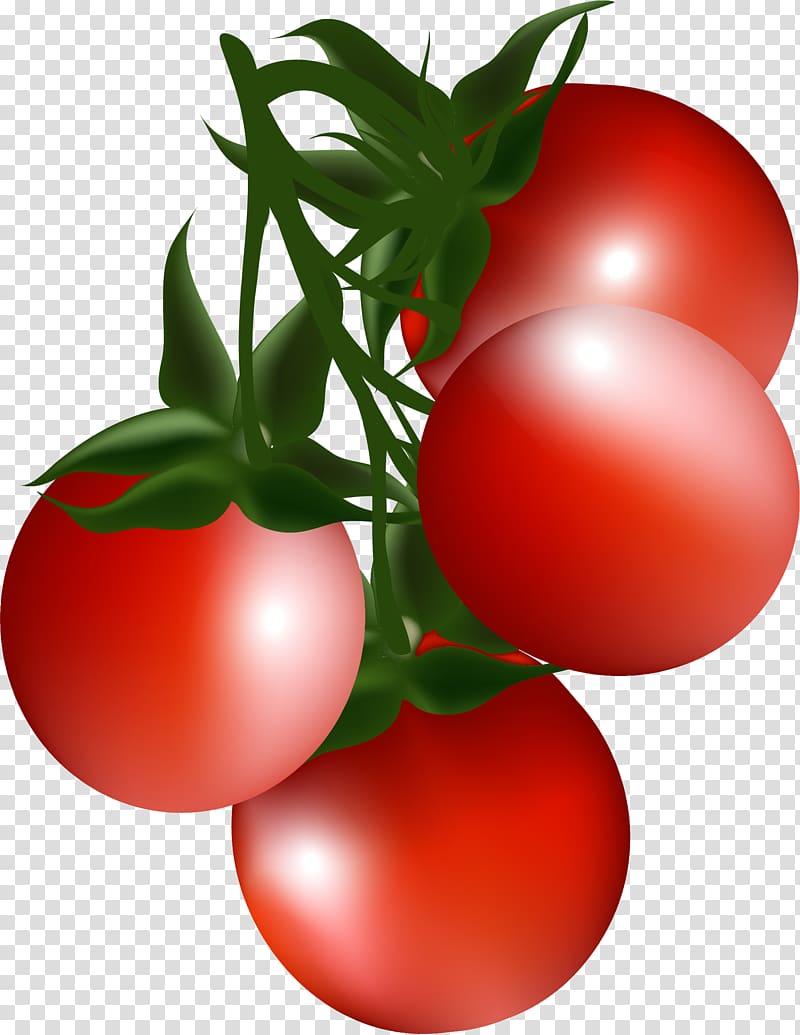 Cherry tomato Bush tomato , Cartoon red cherry transparent background PNG clipart
