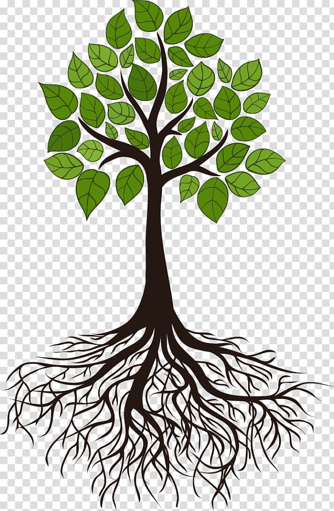 green leaf tree digital illustration, Tree Root Branch , root transparent background PNG clipart