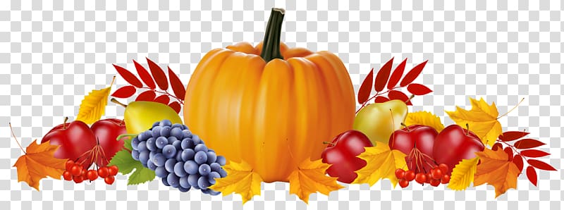 Public holiday Thanksgiving Harvest festival, autumn leaves transparent background PNG clipart