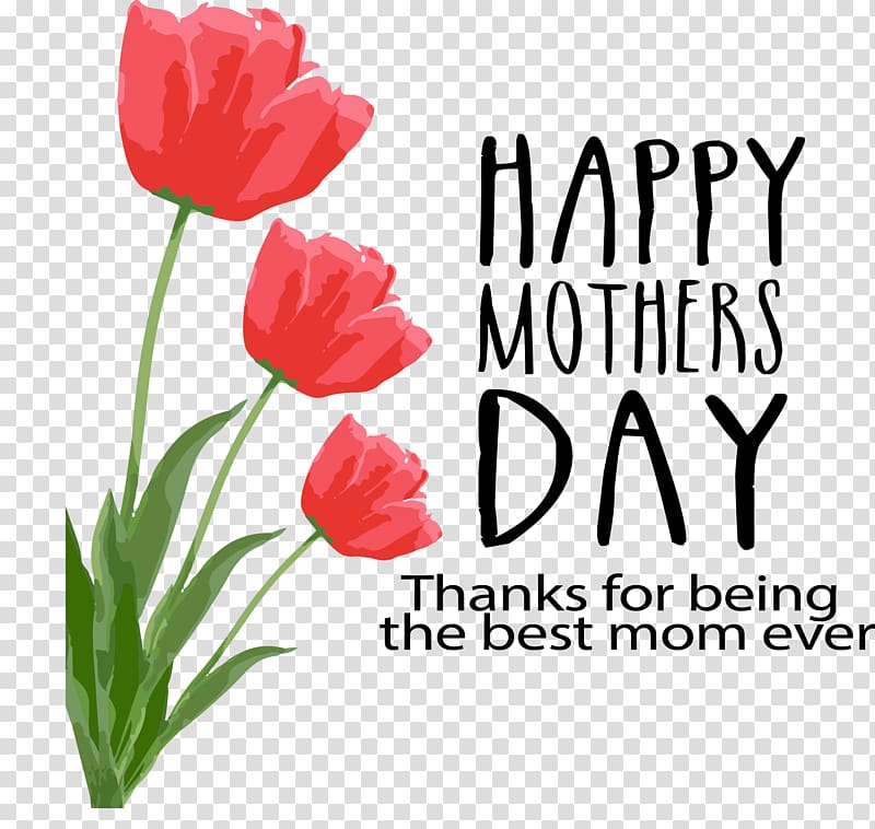 three red flowers with Happy Mother's Day text overlay, Mother\'s Day Greeting card Friendship Father\'s Day, hand-painted flowers transparent background PNG clipart