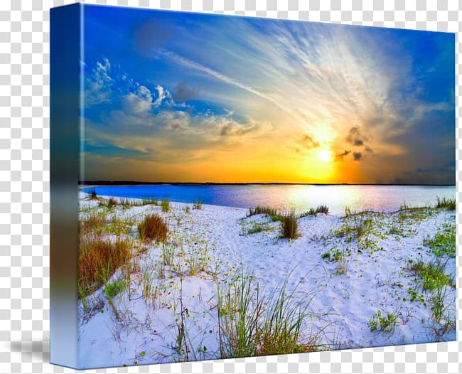 Gallery wrap Eszra Painting Landscape Ecoregion, seaside scenery transparent background PNG clipart