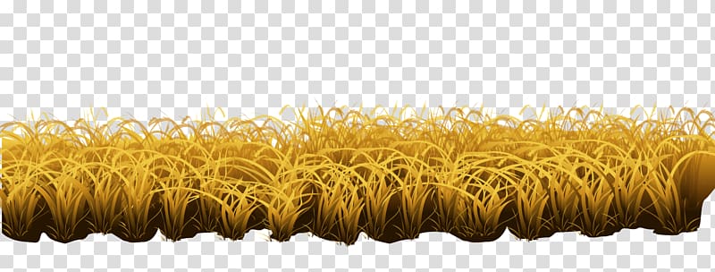 Common wheat Cartoon Creativity, cartoon yellow wheat material transparent background PNG clipart