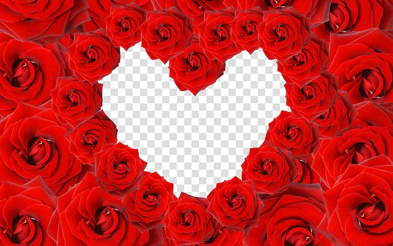 Heart Rose Valentines Day , Rose Love Border transparent background PNG clipart