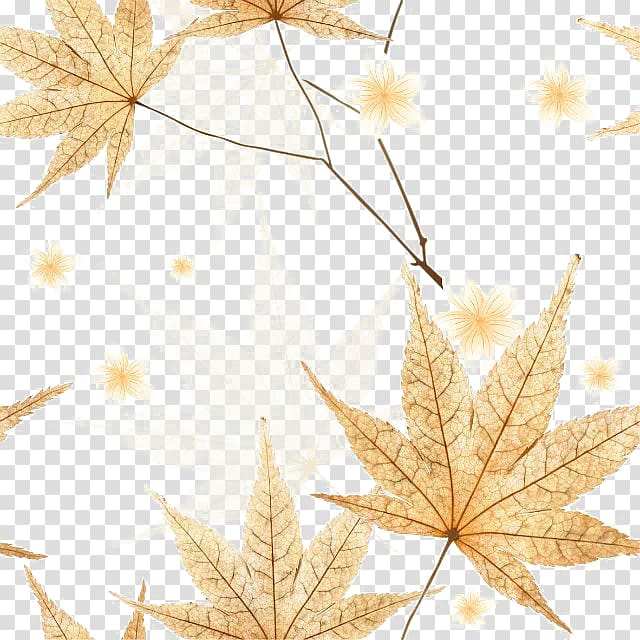 Leaf Autumn, Yellow autumn leaves transparent background PNG clipart