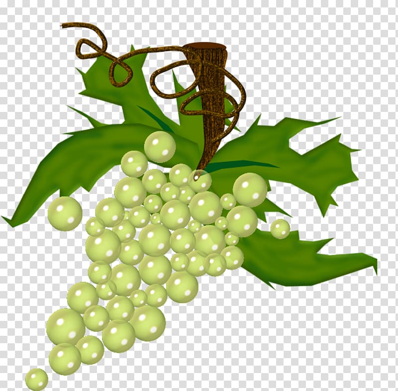 Wine Common Grape Vine Drawing Fruit, raisin transparent background PNG clipart