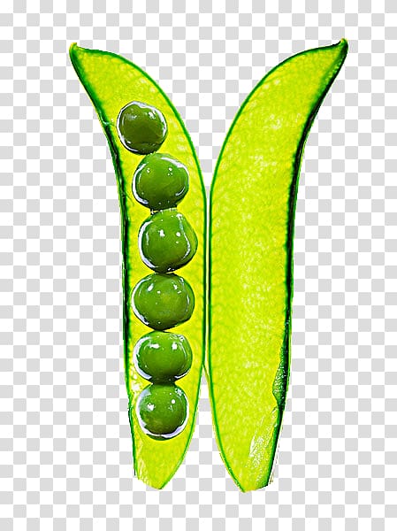Pea Silique, Pea pod Closeup transparent background PNG clipart