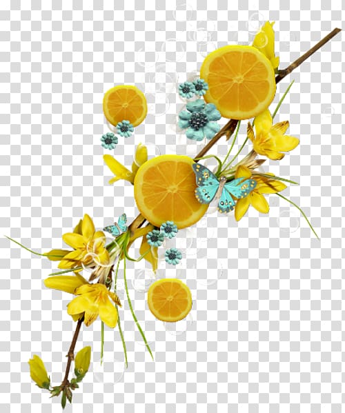 Lemon Fruit Auglis Flower, limon transparent background PNG clipart