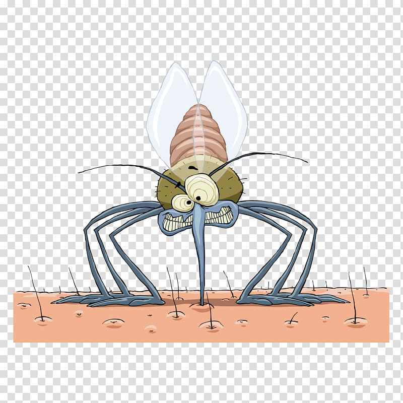 Mosquito Insect repellent , mosquitoes transparent background PNG clipart