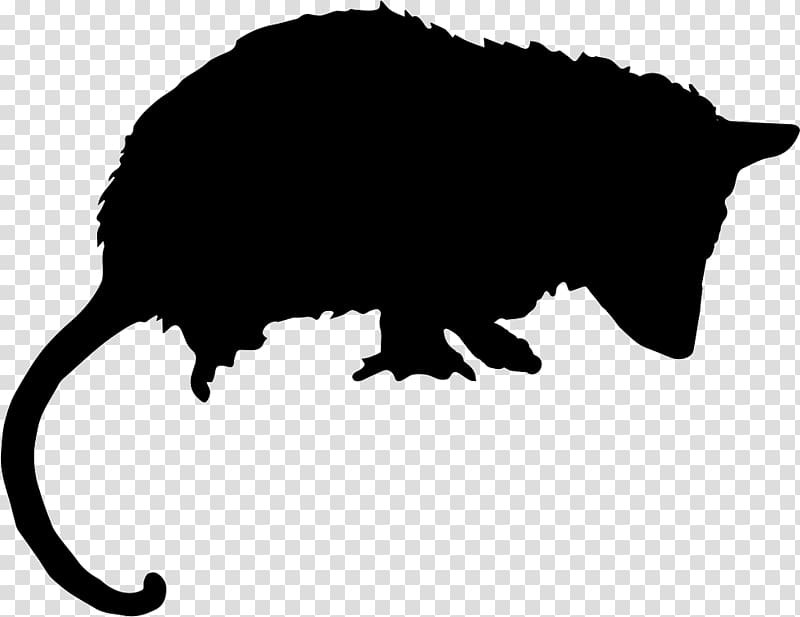 Opossum Drawing Silhouette, animal silhouettes transparent background PNG clipart