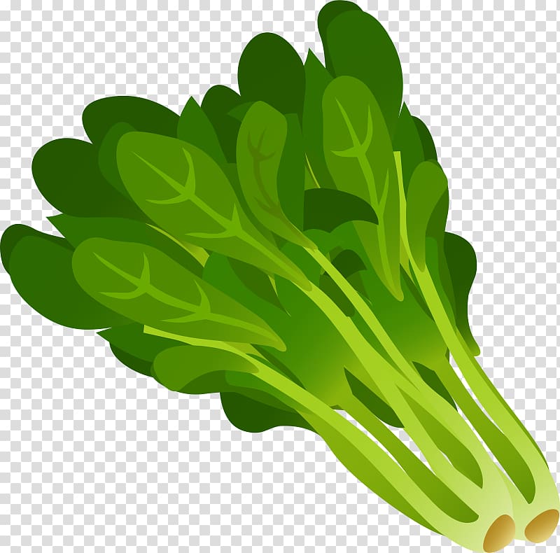 green vegetable illustration, Spinach Leaf vegetable , Spinach transparent background PNG clipart