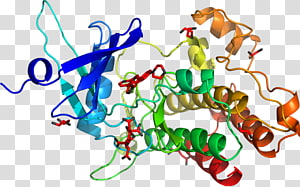 Line Point Organism , line transparent background PNG clipart thumbnail