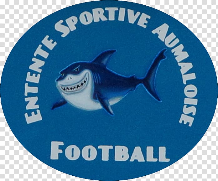 Aumale Saligny, Vendée Criquiers Football Sport, football transparent background PNG clipart