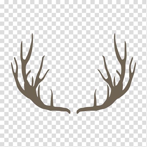 Chiang Mai Zoo Deer Antler Koala, deer head transparent background PNG clipart