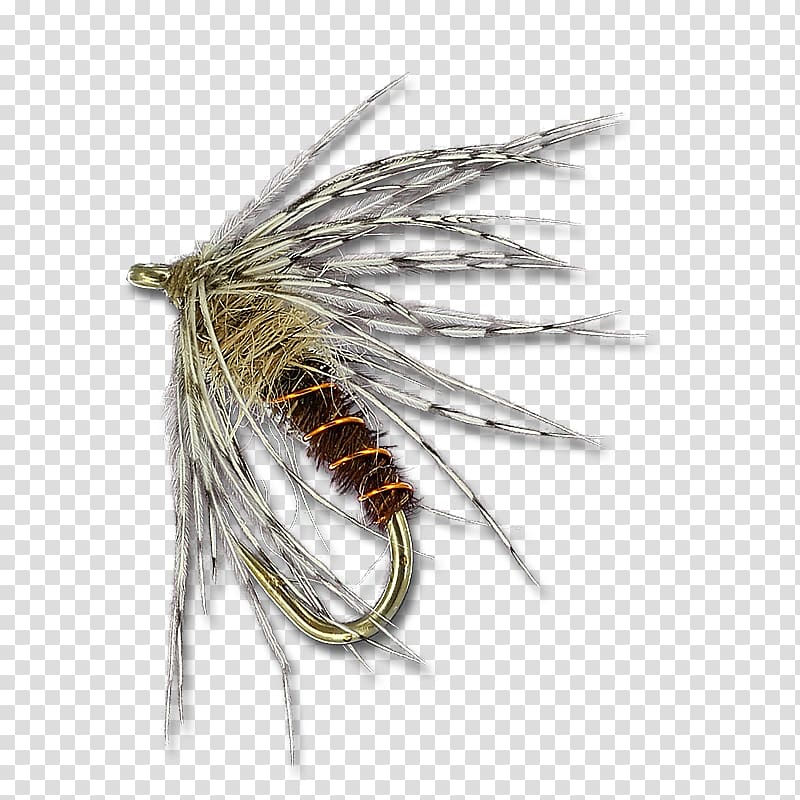 Insect Artificial fly, soft hackle flies transparent background PNG clipart