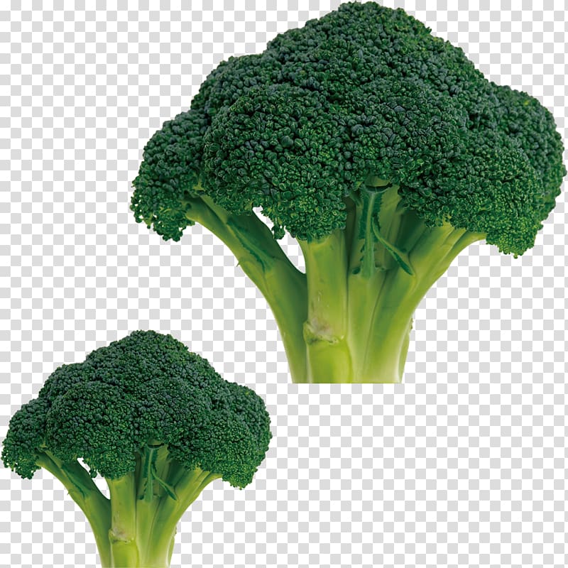 Broccoli Cauliflower Cabbage Vegetable Food, cauliflower transparent background PNG clipart