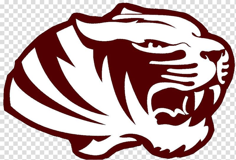 Silsbee High School Tiger Detroit Lions Sport Basketball, tiger transparent background PNG clipart