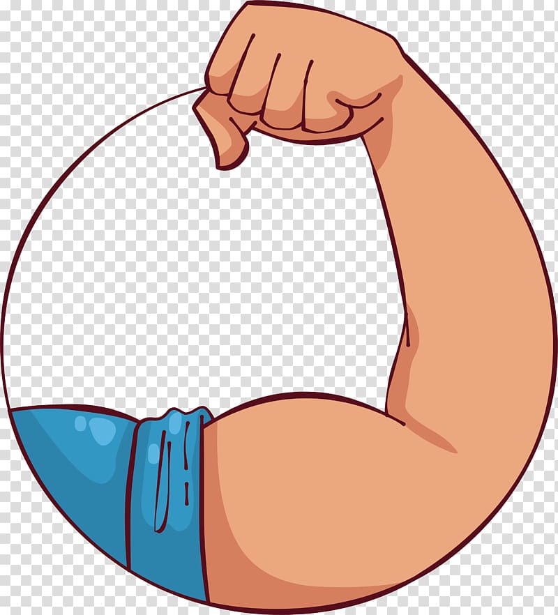 Biceps Muscle Portable Network Graphics Arm, arm transparent background PNG clipart