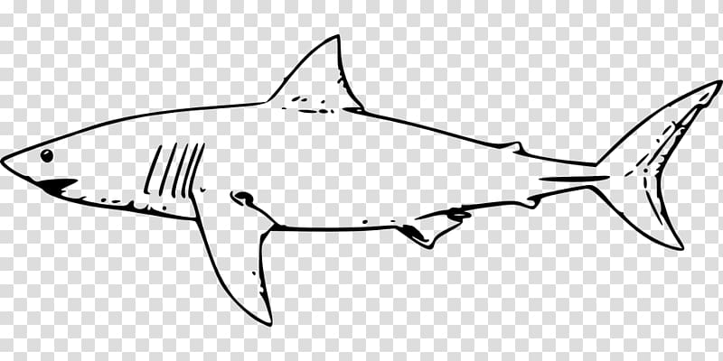 Shark Jaws Great white shark Whale shark , tiger shark transparent background PNG clipart