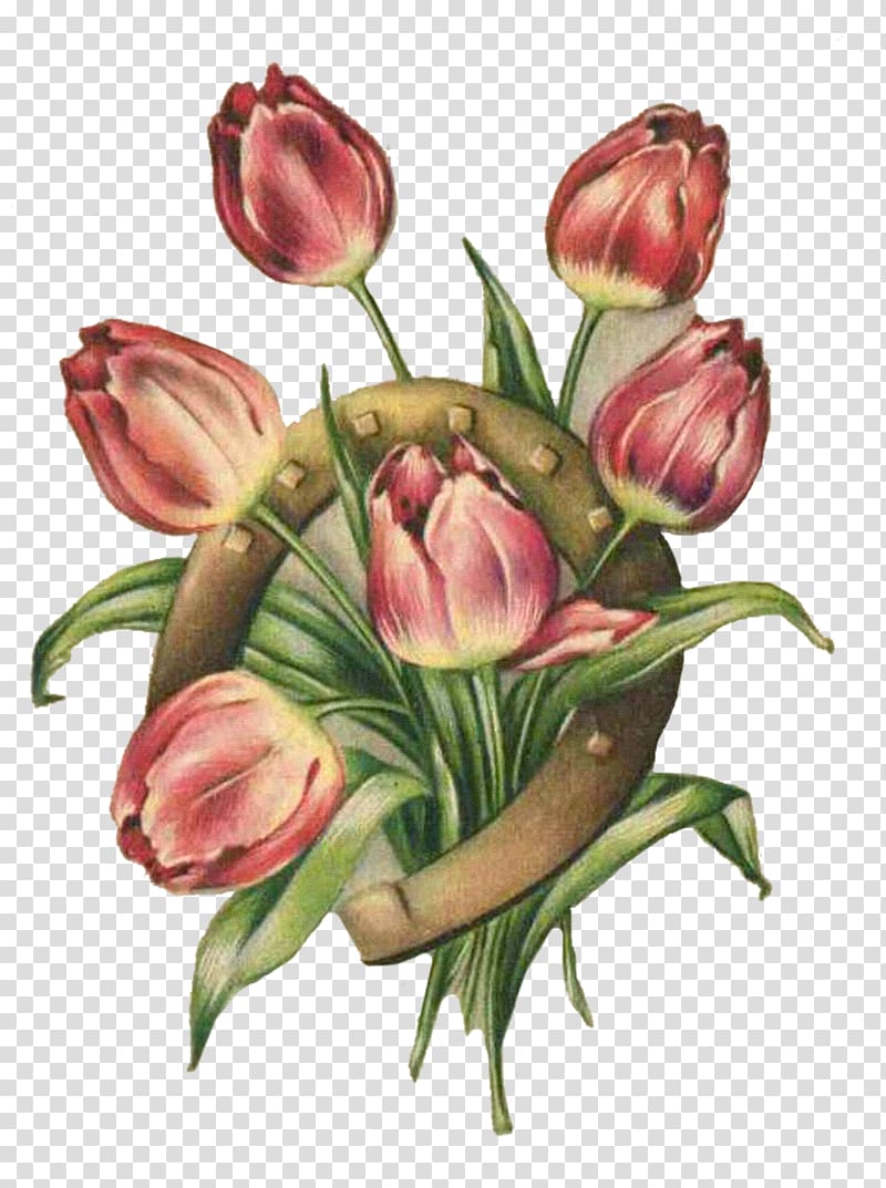 Tulip Painting Flower Still life, Flowers Tulip Bouquet transparent background PNG clipart