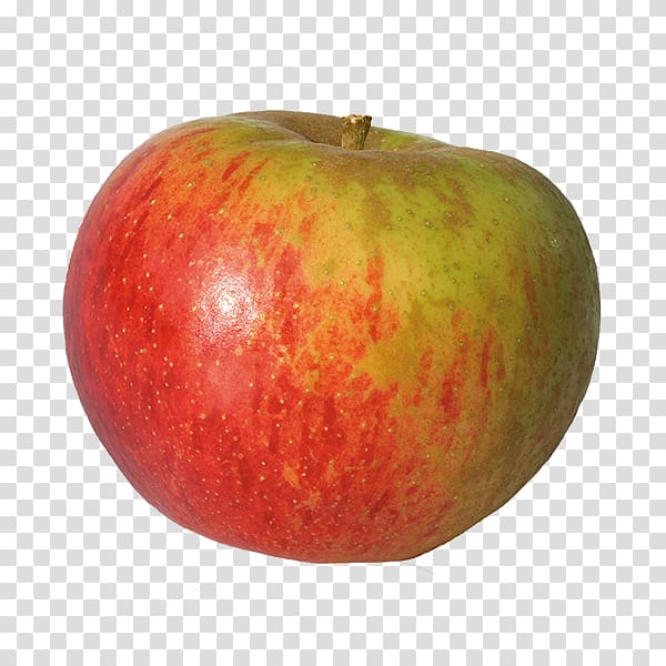 McIntosh red Reinette Russet apple Fruit, pommes transparent background PNG clipart