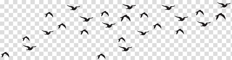 silhouette of flock of bird, Bird Black and white Logo, Birds Flock Silhouette transparent background PNG clipart
