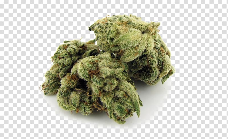 Kush Chewing gum California Cannabis Blue Dream, cannabis transparent background PNG clipart